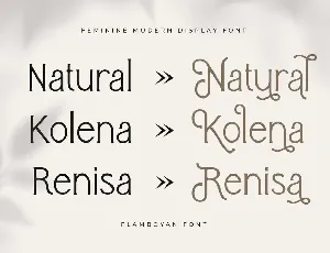 Flamboyan - Feminine Modern Display Font