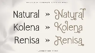 Flamboyan - Feminine Modern Display Font