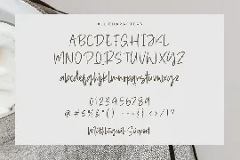 Smoky Diamond Handwritten Script Font TT