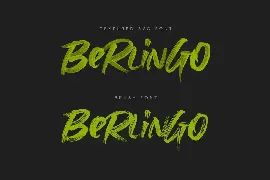 Berlingo SVG & Regular Fonts