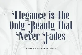 High Sans Serif - Elegant Luxury Sans Serif font