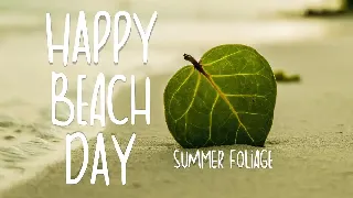 Summer Foliage Font