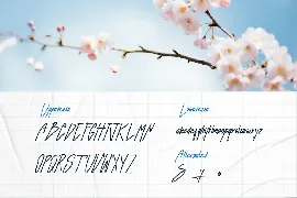 Ariyani - Aesthetic Handwritten Font