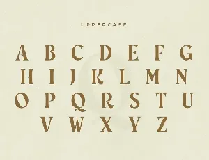 Rosebud - Display Vintage Font