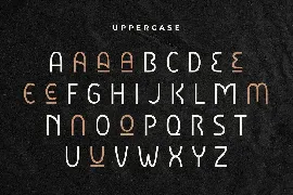 Bipolar - Unique Display Font