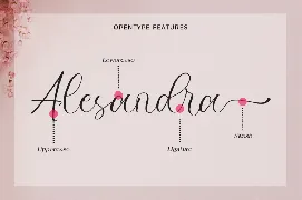 Faniletta - Wedding Font