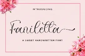 Faniletta - Wedding Font