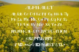 Adibol - Decorative Modern Font