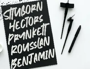 Nymburgh Brush Minimal Display Typeface font