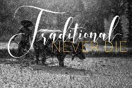 Whitedove Modern Script font