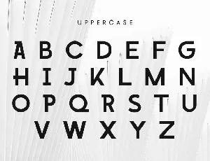 Photogenic - Trendy Geometric Sans Serif font