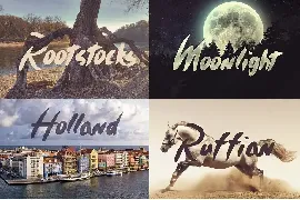 Timothy Brush Typeface font