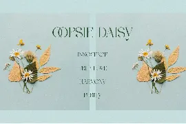 FLOWRISE font