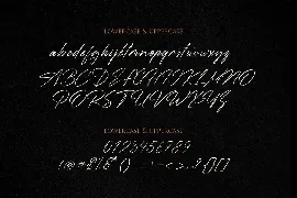 D.Signature font