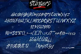 Stingers | Brush Handwriting Script Font