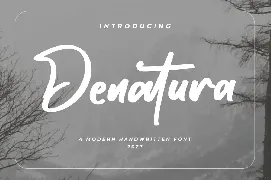 Denatura - Bold Script Font