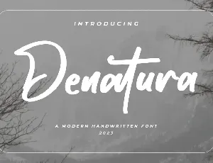 Denatura - Bold Script Font