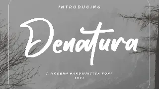 Denatura - Bold Script Font