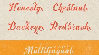 Peacher - Vintage Script Font