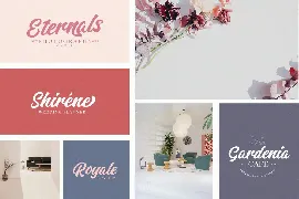 Rubelion Script font