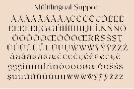 Bonky serif font