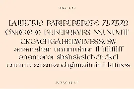 Bonky serif font