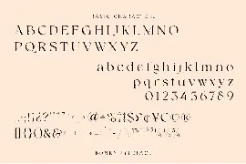 Bonky serif font