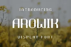 Arowik Font