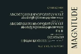 Magnitude font