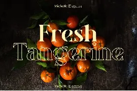 Michelle Elegante duo font