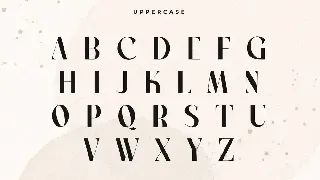 Marque - Luxury Display Font