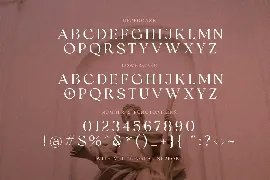 Romans Story font