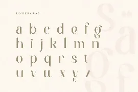 Maung - Elegant Classy Serif Font