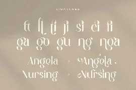 Maung - Elegant Classy Serif Font