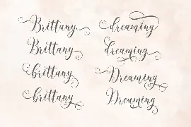 Romantic Script font