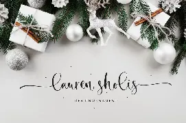 Secret Winter font