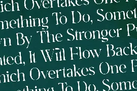 Breilga Modern Serif Font