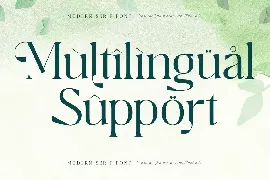 Breilga Modern Serif Font