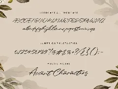 Galaksie Script Font