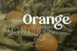 Foghe - Unique Vintage Display Font