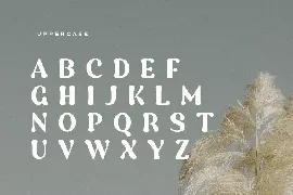 Foghe - Unique Vintage Display Font