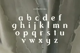 Foghe - Unique Vintage Display Font