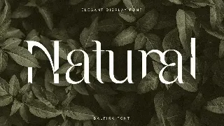 Balfira - Elegant Display Font