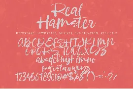 Real Hamster font