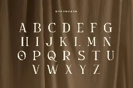 Gemini - Unique Playful Serif font