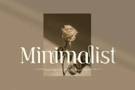 Gemini - Unique Playful Serif font