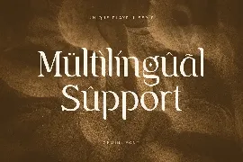 Gemini - Unique Playful Serif font