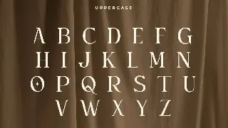 Gemini - Unique Playful Serif font