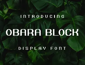 Obara Block Font