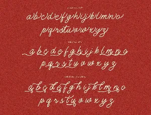 Monology Swash Script Vintage Font